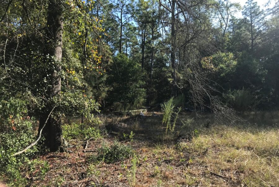 Listings Coward & McNeill