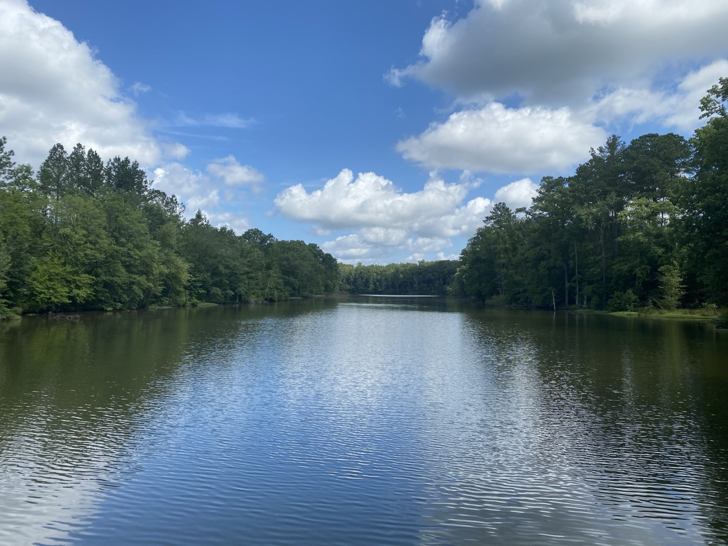 Clouds Creek, Lake Murray Development Tract – Coward & McNeill